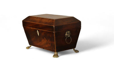 Mahogany Tea Caddy on Lion's Feet