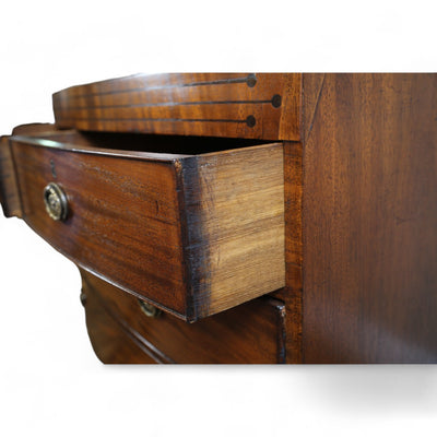 Two over Two Mahogany Batchelor's Chest